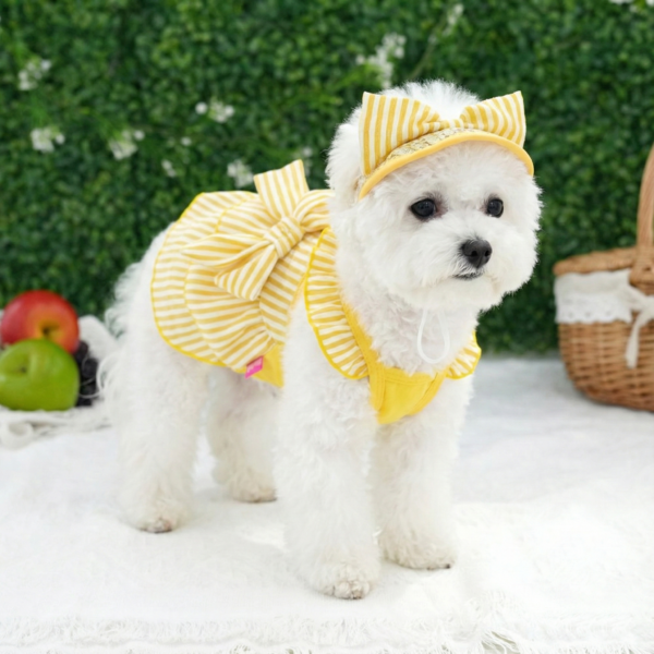 Butter Stripe Frill Dress
