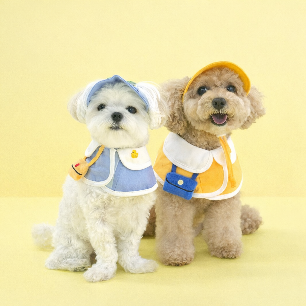 Kindergarden Cape & Hat Set