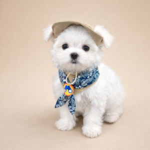 Outdoor Scaft & Hat Set - Image 2