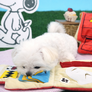 Peanuts Play Mat Toy - Image 2