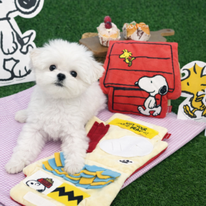Peanuts Play Mat Toy