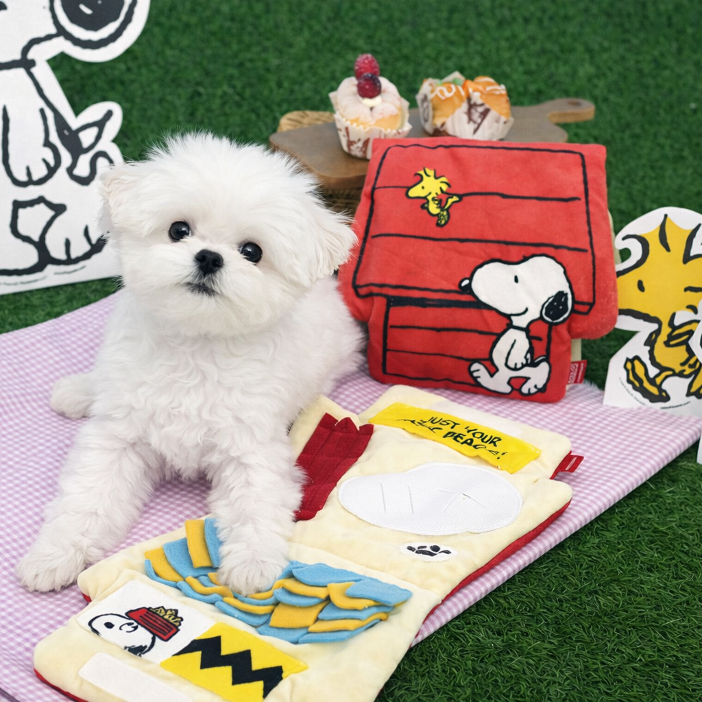 Peanuts Play Mat Toy - Image 1