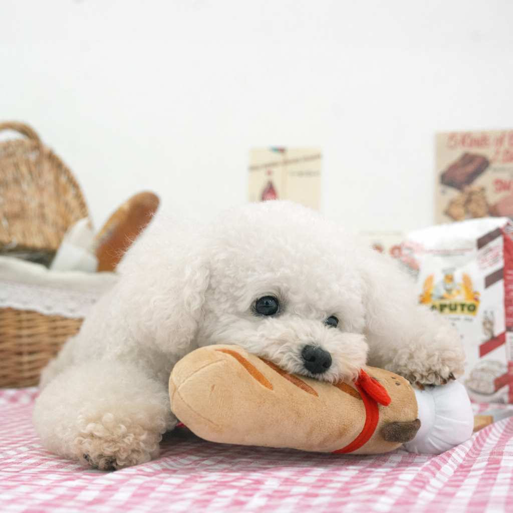 Peanuts Baguette Toy - Image 4