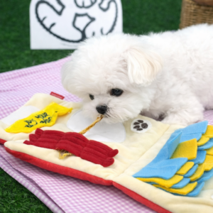 Peanuts Play Mat Toy - Image 4