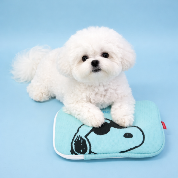 Peanuts Bubble Ice Pouch