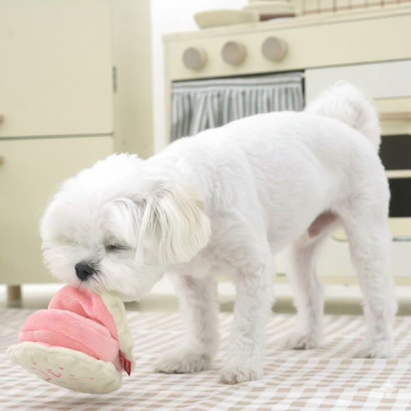 Peanuts Cookies Snack Play Toy