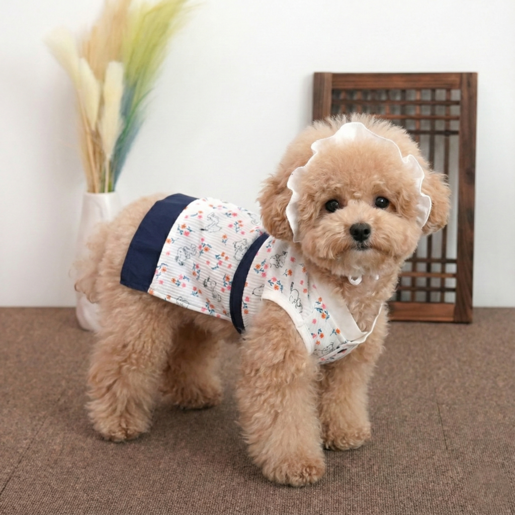 Peanuts Hanbok Set