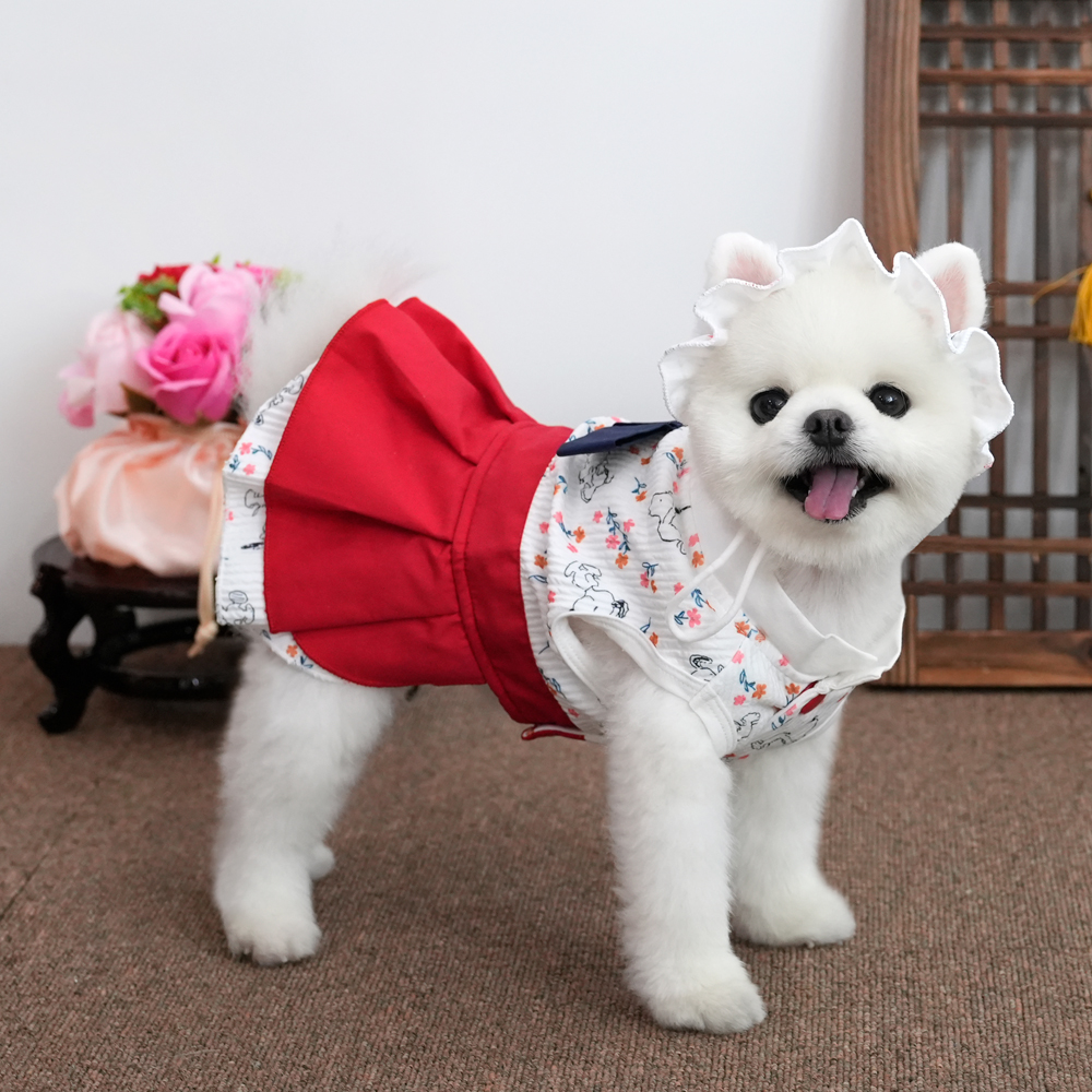 Peanuts Hanbok Set - Image 5