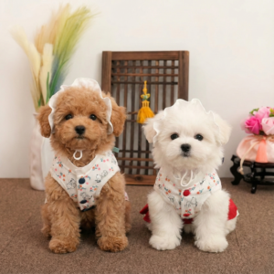 Peanuts Hanbok Set - Image 2