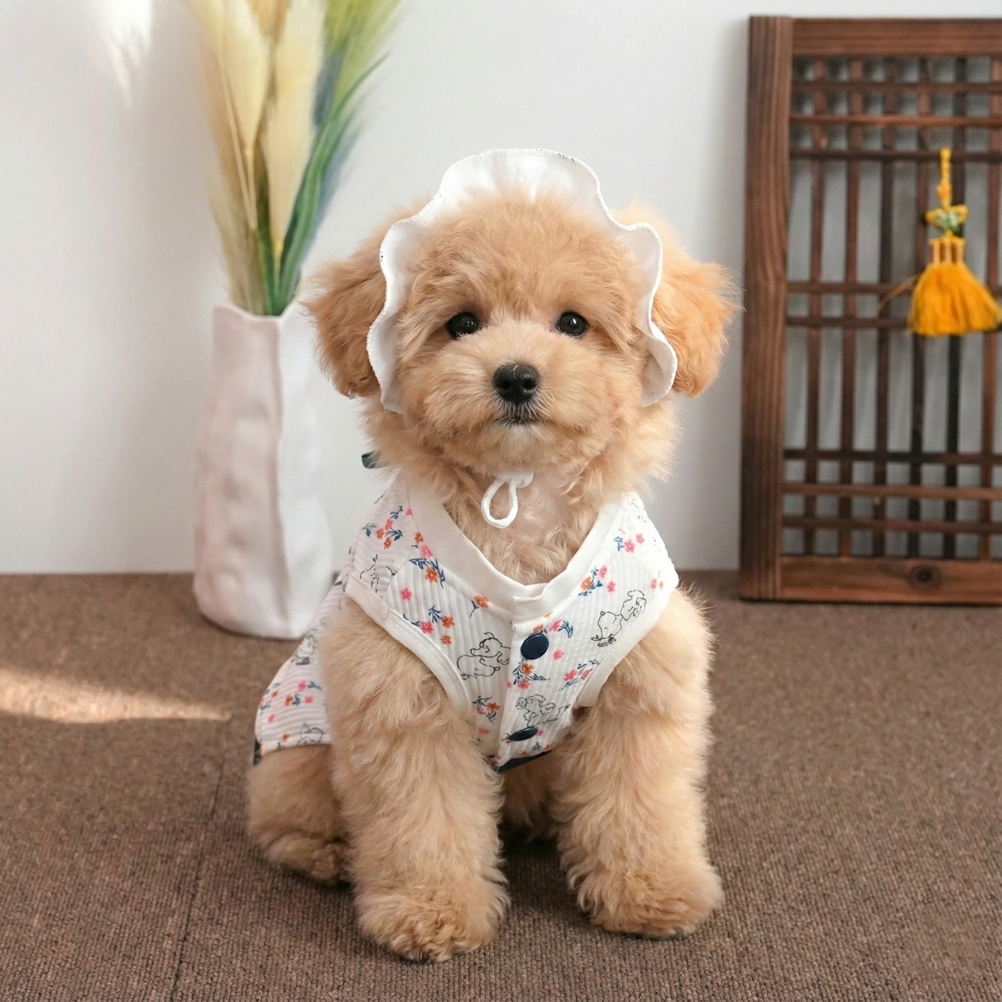 Peanuts Hanbok Set - Image 3