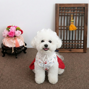 Peanuts Hanbok Set - Image 4