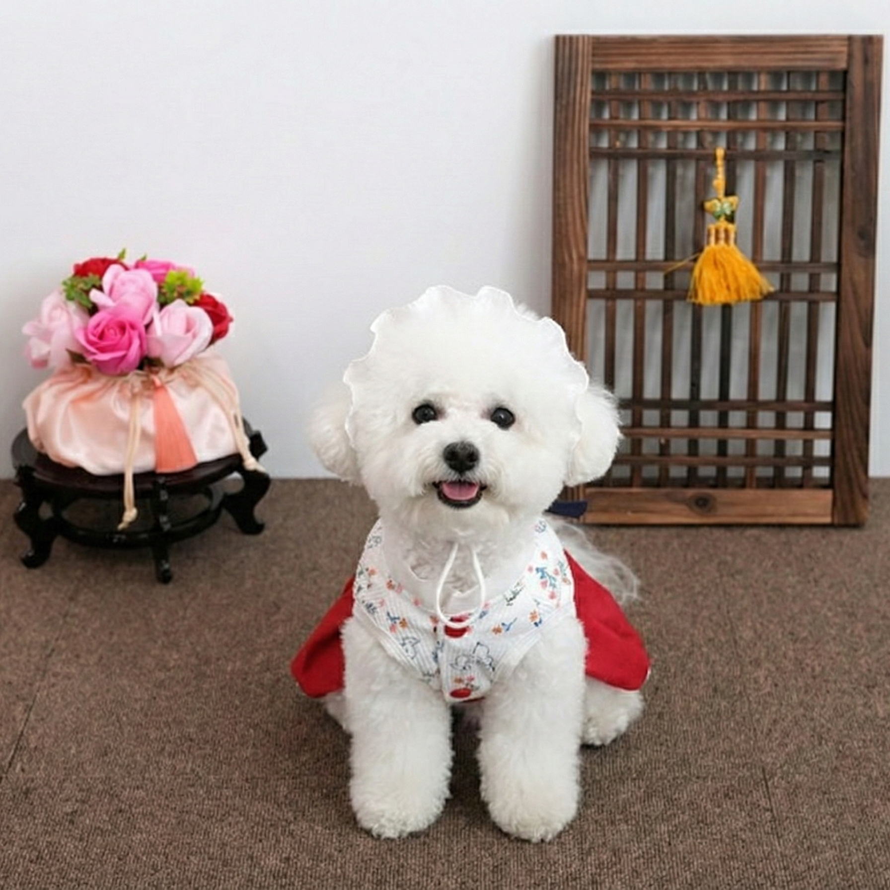 Peanuts Hanbok Set - Image 4