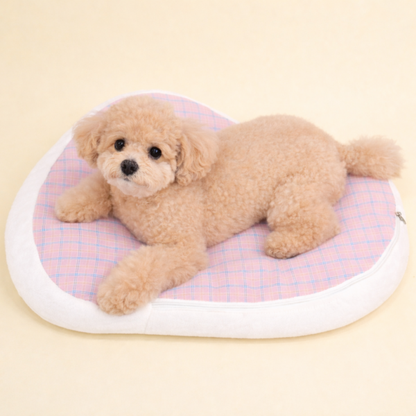 Peanuts Snoopy Bed