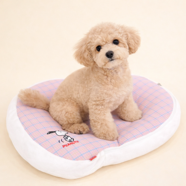 Peanuts Snoopy Bed