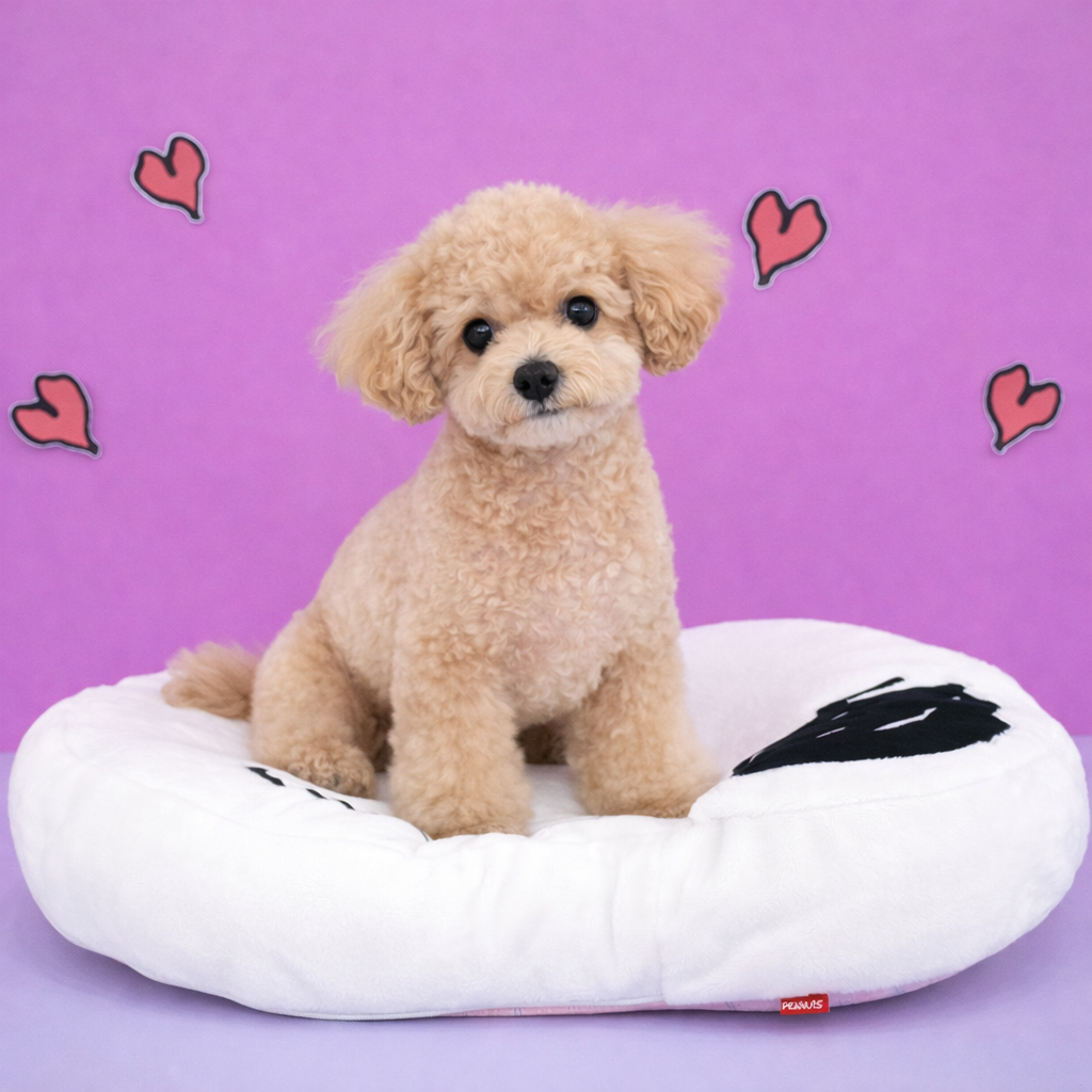 Peanuts Snoopy Bed - Image 4
