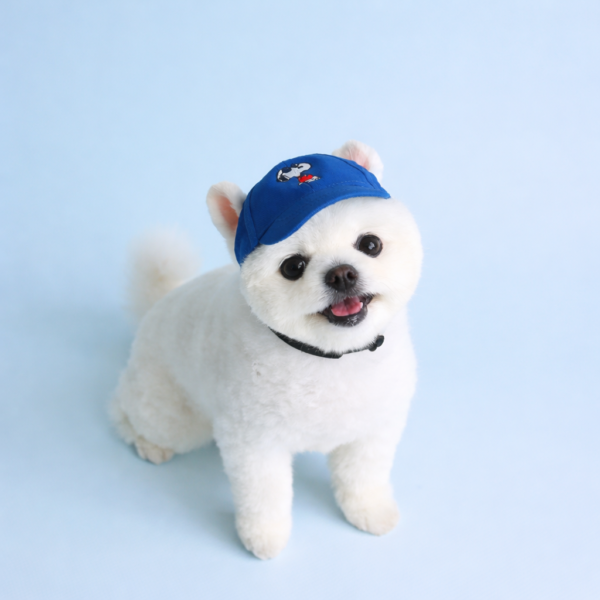 Peanuts Vintage Ball Cap