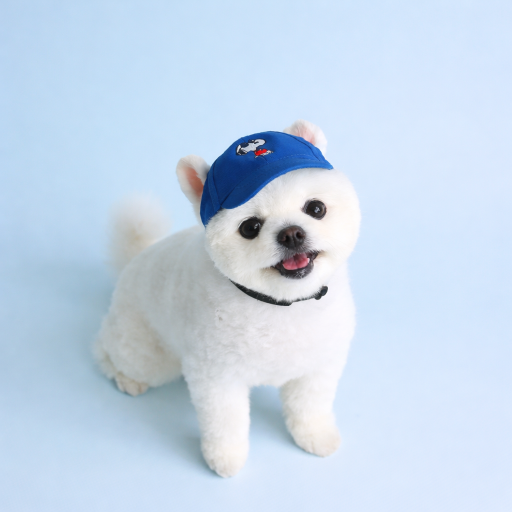 Peanuts Vintage Ball Cap - Image 4