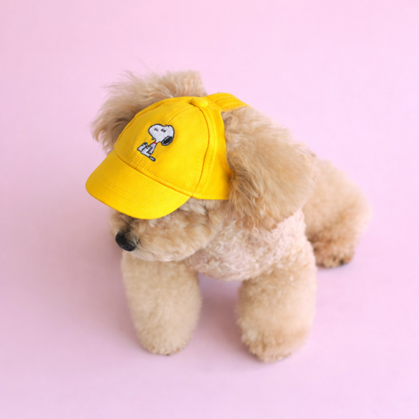 Peanuts Vintage Ball Cap