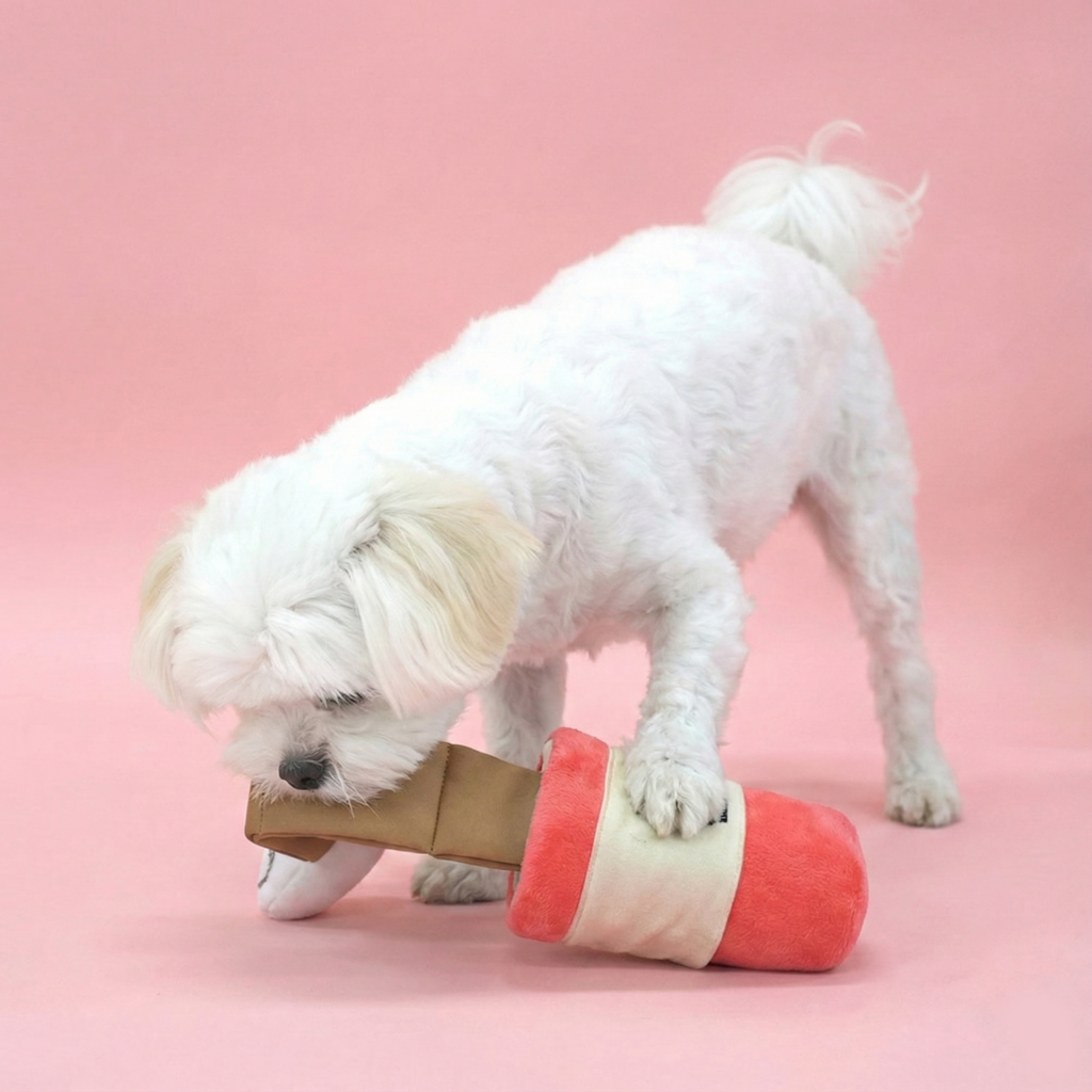 Peanuts Coffee Snack Play Toy