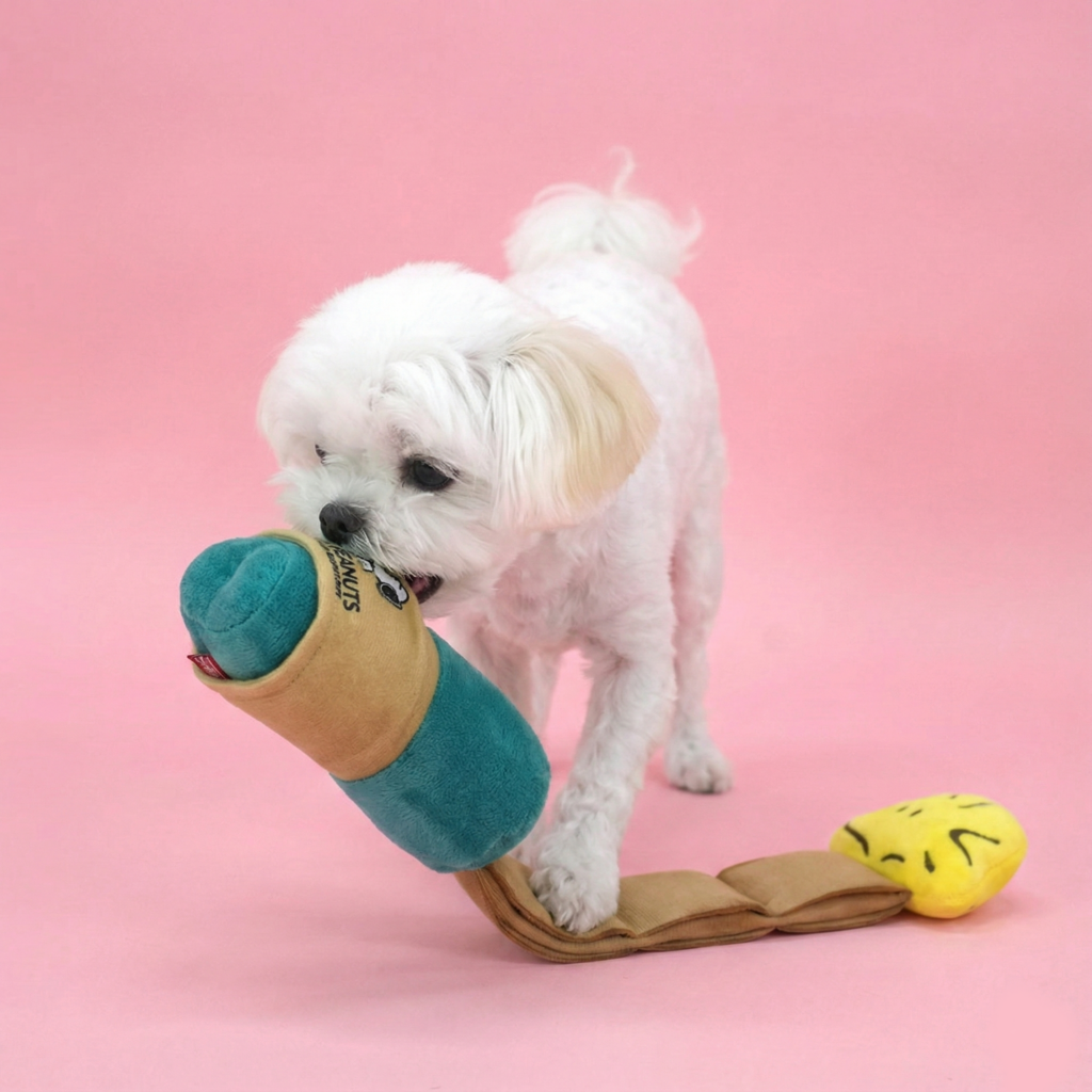 Peanuts Coffee Snack Play Toy