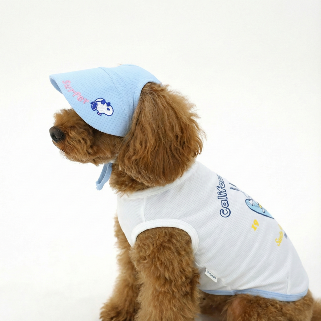 Peanuts Vintage California Cool T-Shirt Set