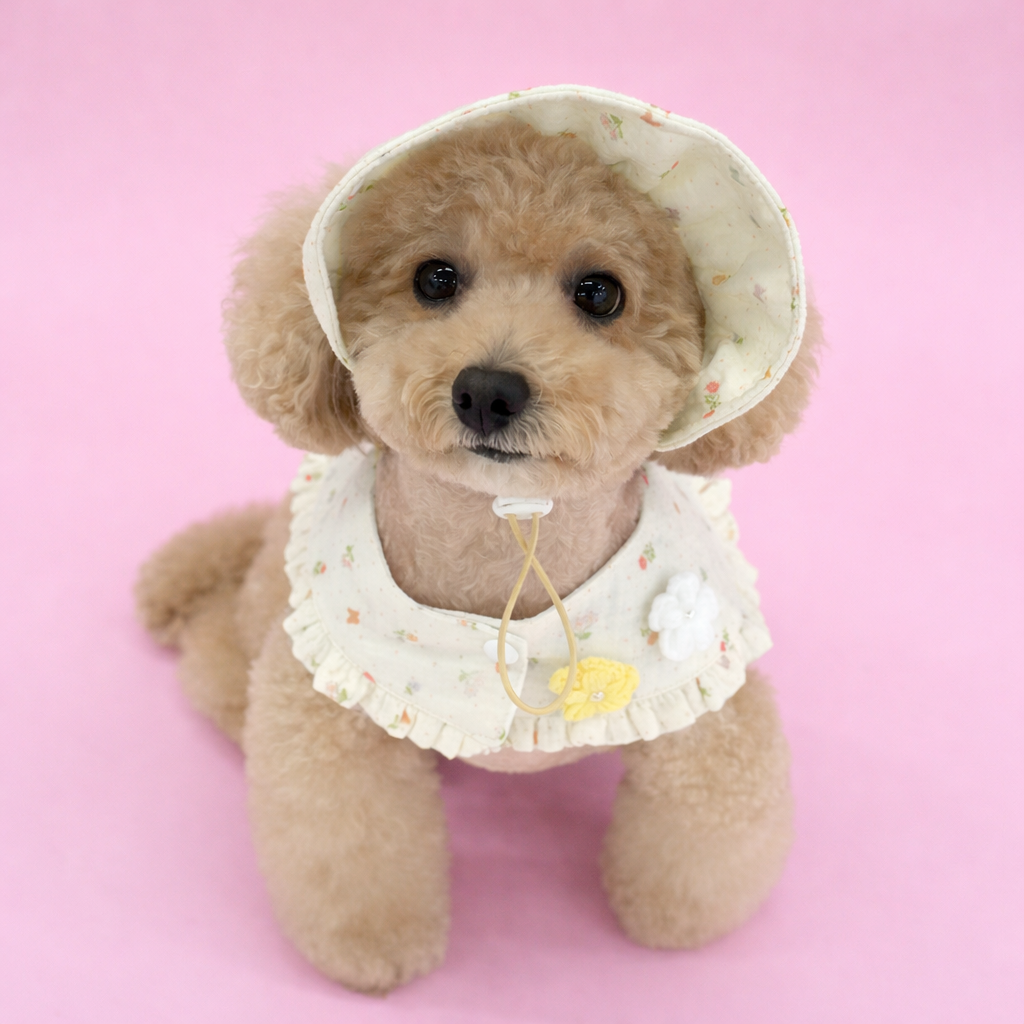 Romantic Cape & Hat Set - Image 2