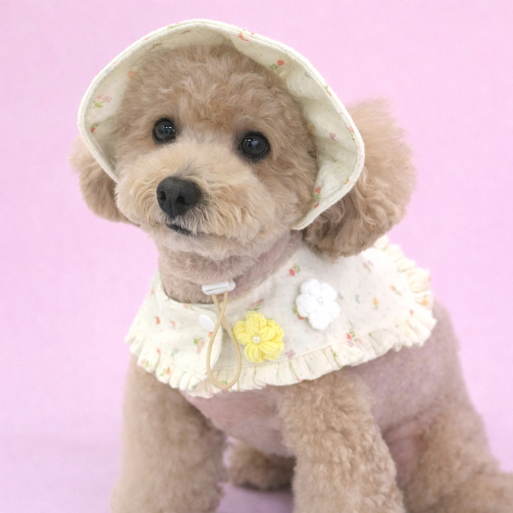 Romantic Cape & Hat Set - Image 3