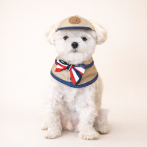 Trench Cap & Ball Cap Set - Image 3