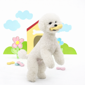 Bear Bone Latex Toy - Image 3