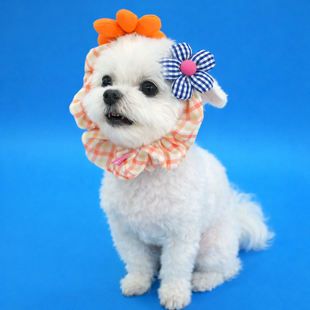Flower Pet Scrunchie - Image 4
