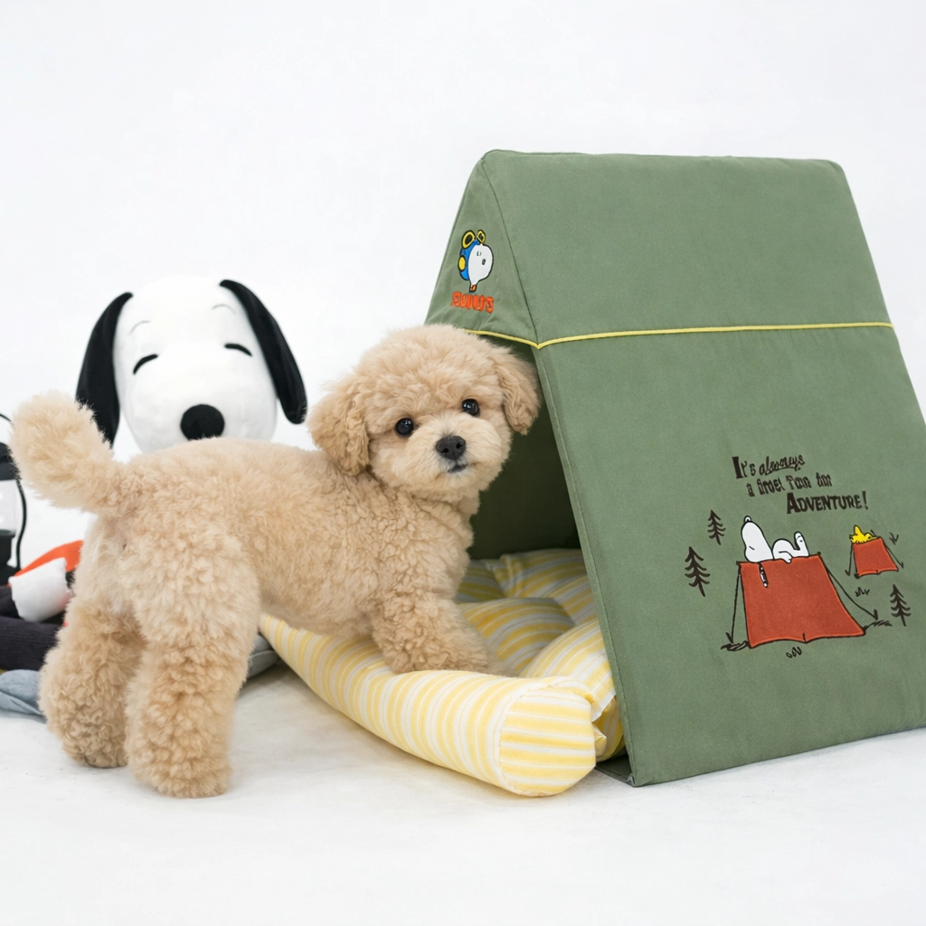 Peanuts Adventure Tent House - Image 1