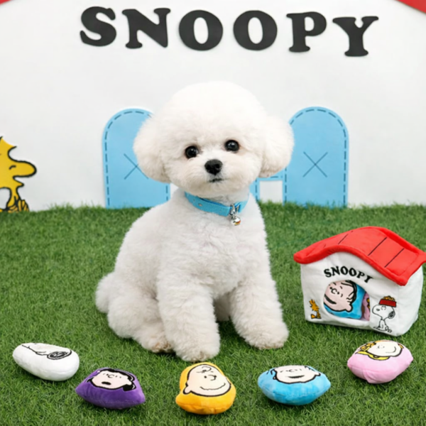 Peanuts House Toy Set