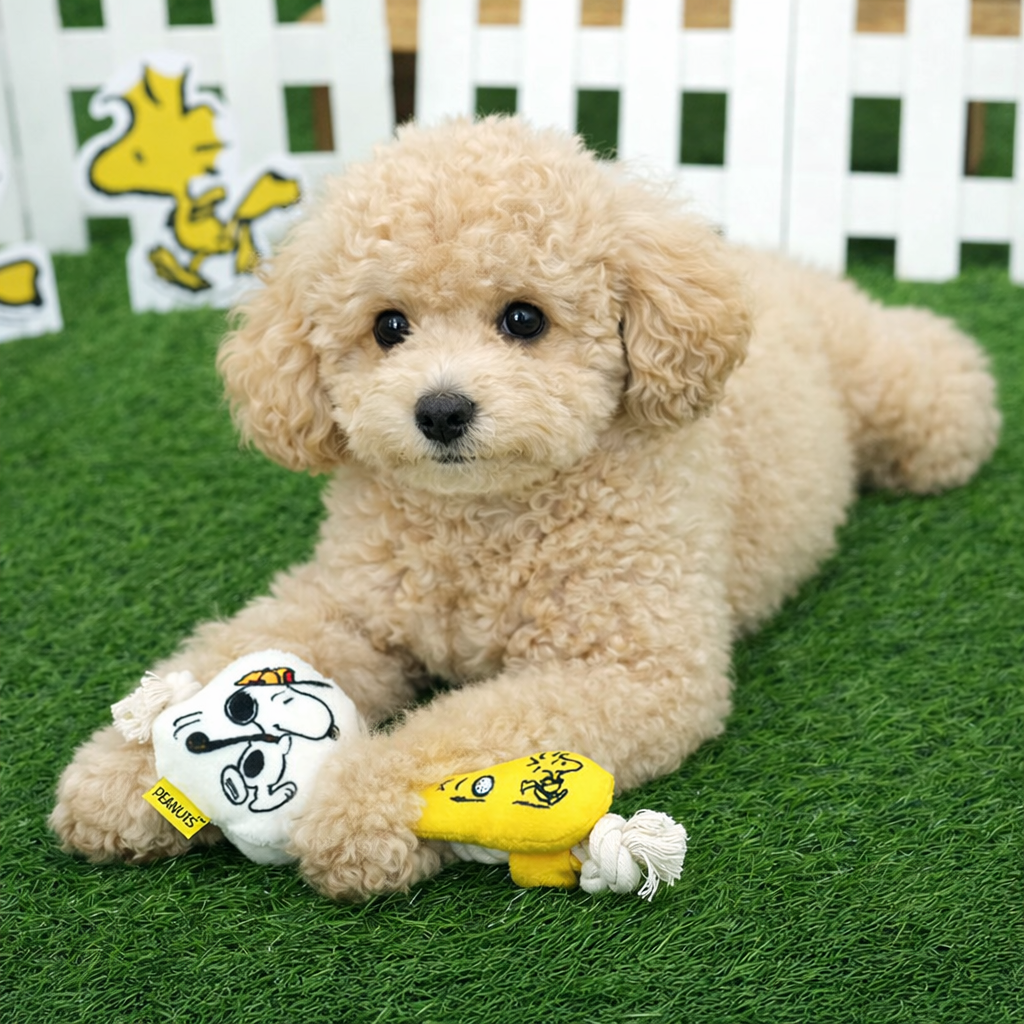 Peanuts Golf & Tennis Rope Toy - Image 2