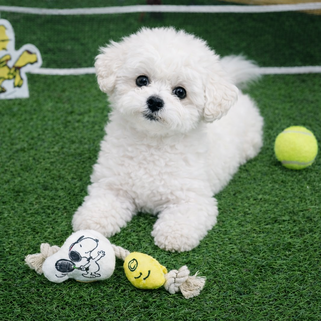Peanuts Golf & Tennis Rope Toy - Image 3