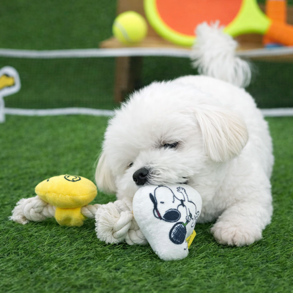 Peanuts Golf & Tennis Rope Toy - Image 4