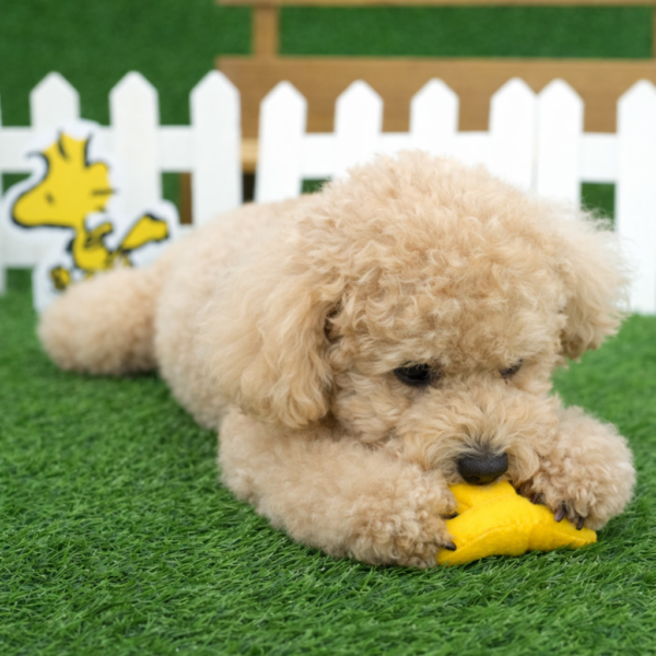 Peanuts Golf & Tennis Rope Toy