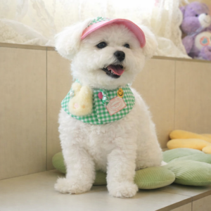 Buddy Ball Cap & Cape Set