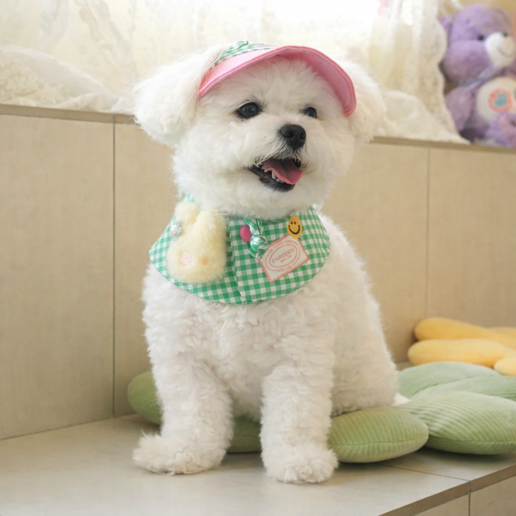 Buddy Ball Cap & Cape Set - Image 1