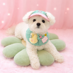 Buddy Ball Cap & Cape Set - Image 3