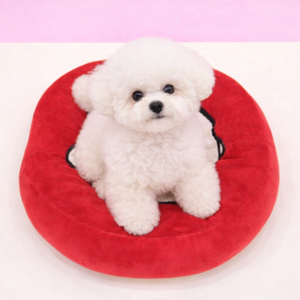 Peanuts Charlie Brown Bed