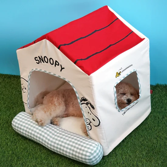 Snoopy Frame House