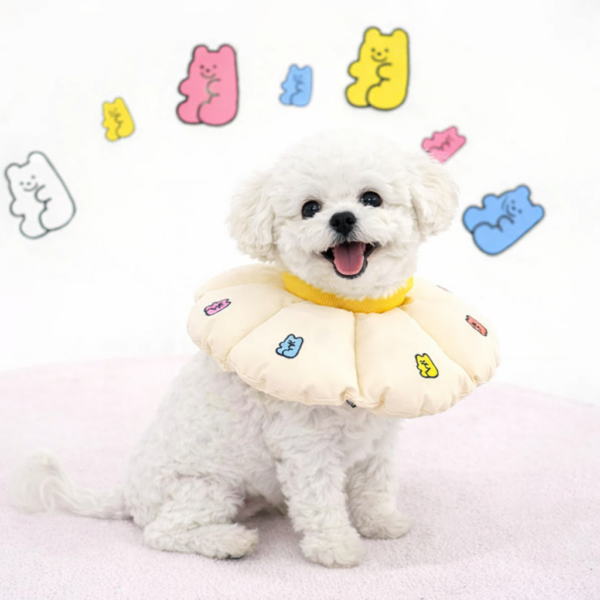 Jelly Bear Neck Collar