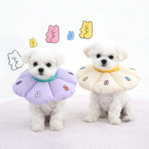 Jelly Bear Neck Collar - Image 2