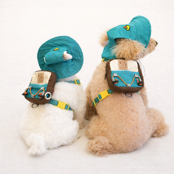 Peanuts Adventure 2-Way Backpack Harness Set