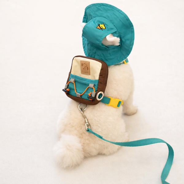Peanuts Adventure 2-Way Backpack Harness Set