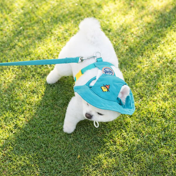 Peanuts Adventure 2-Way Backpack Harness Set