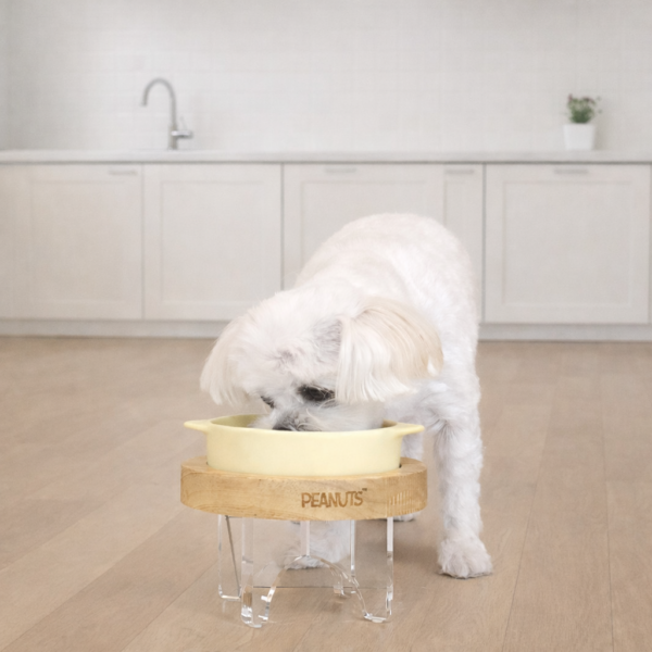Peanuts Chef Food Bowl Table Set