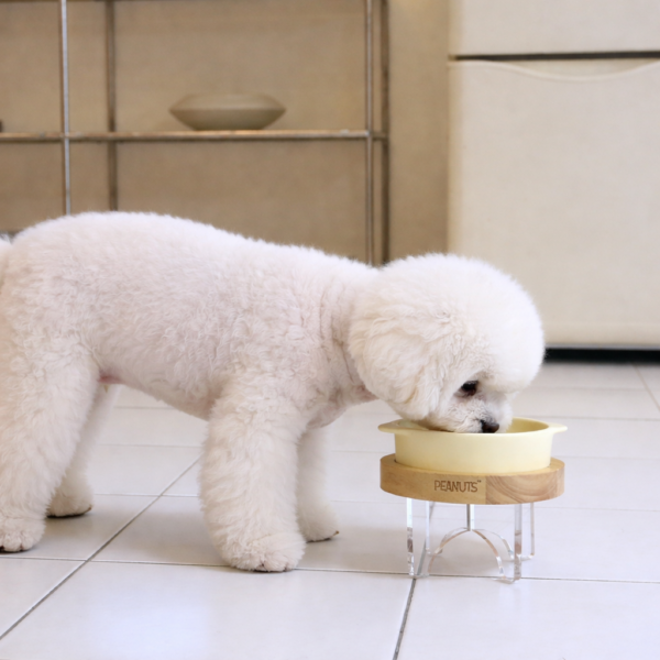 Peanuts Chef Food Bowl Table Set