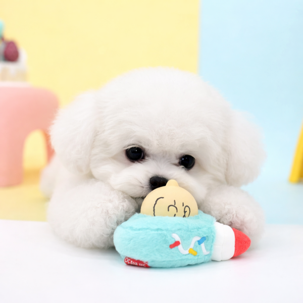 Peanuts Combo Latex Roll Cake Toy