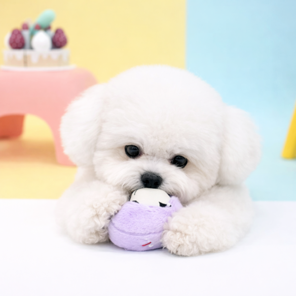 Peanuts Combo Latex Roll Cake Toy